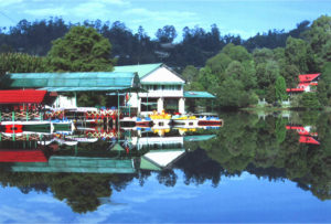 Hammock Cottages in Kodaikanal